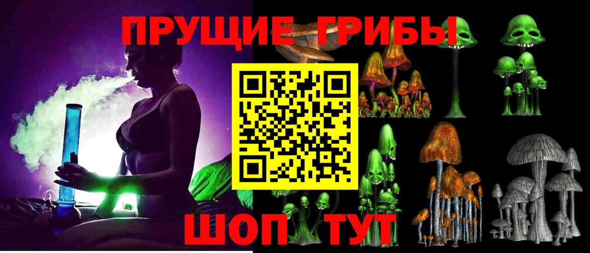 Пятигорск  Галлюциногенные грибы прущие грибы  Вход с VPN 