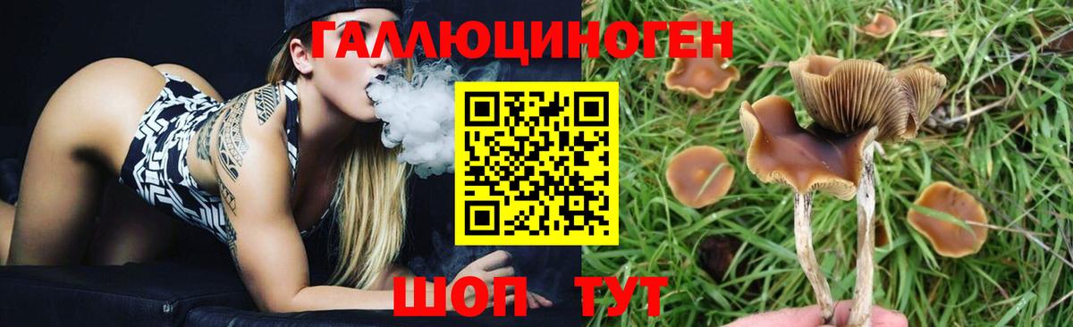Псилоцибиновые грибы ЛСД Пятигорск