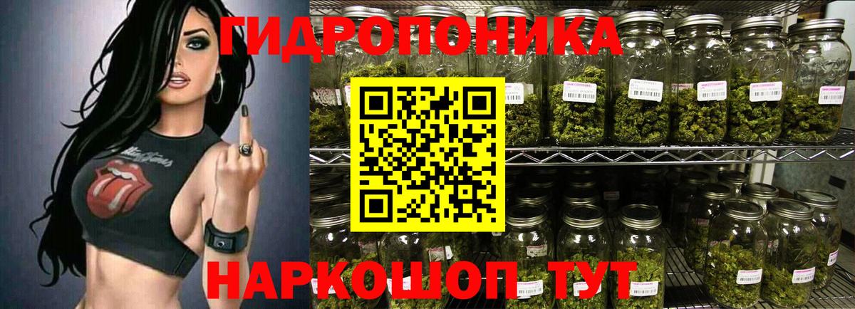 Конопля гибрид Пятигорск